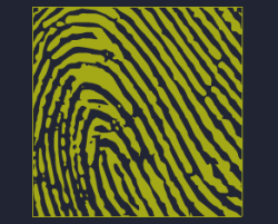 Competitive-Fingerprints